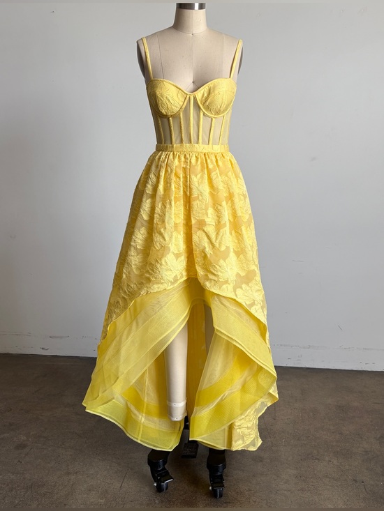 BCBGMaxAzria Dresses & Skirts - $448 NWT BCBGMaxAzria High Low Organza Tulle Gown in Camomile Sz 4